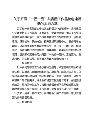 关于开展“一团一品”共青团工作品牌创建活动的实施方案