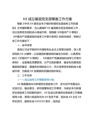 XX成立基层党支部筹备工作方案