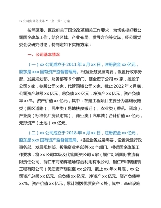 xx公司实体化改革“一企一策”方案