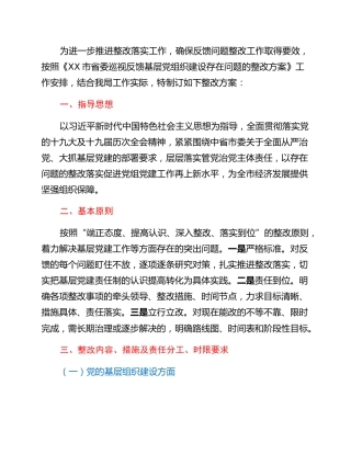 省委巡视反馈基层党组织建设存在问题的整改方案