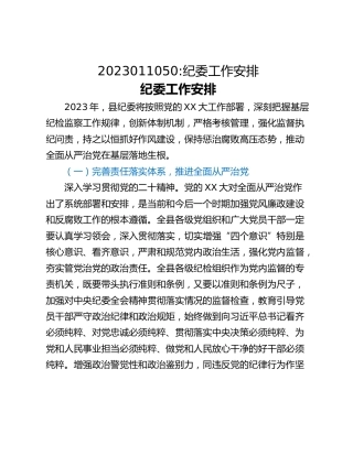 2023011050_纪委工作安排