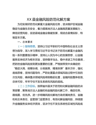 XX县金融风险防范化解方案