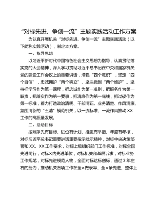 “对标先进、争创一流”主题实践活动工作方案