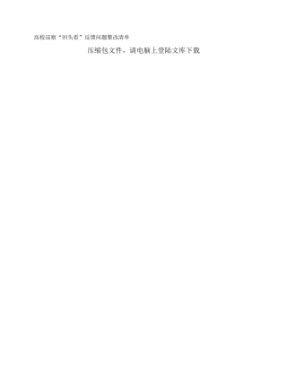 高校巡察“回头看”反馈问题整改清单