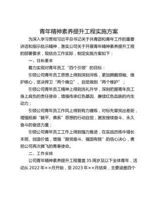 青年精神素养提升工程实施方案