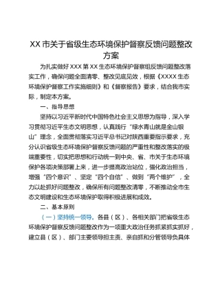 XX市关于省级生态环境保护督察反馈问题整改方案