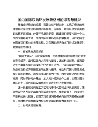 国内国际双循环发展新格局的思考与建议