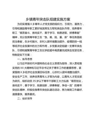 乡镇青年突击队组建实施方案