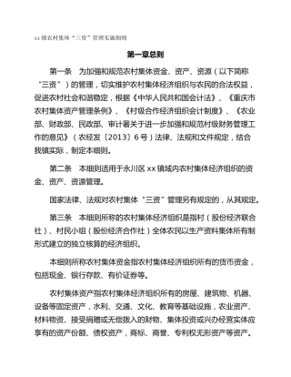 xx镇农村集体“三资”管理实施细则