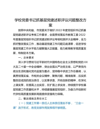 学校党委书记抓基层党建述职评议问题整改方案
