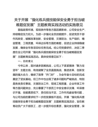 关于开展“强化练兵提技能保安全勇于担当破难题促发展”主题教育实践活动的实施意见