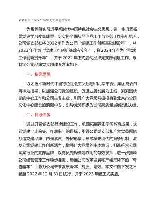 某某公司“某某”品牌党支部建设方案