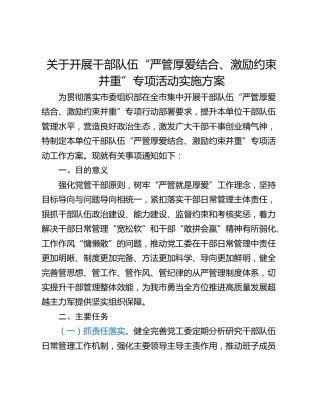 关于开展干部队伍“严管厚爱结合、激励约束并重”专项活动实施方案