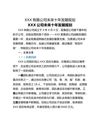 XXX有限公司未来十年发展规划