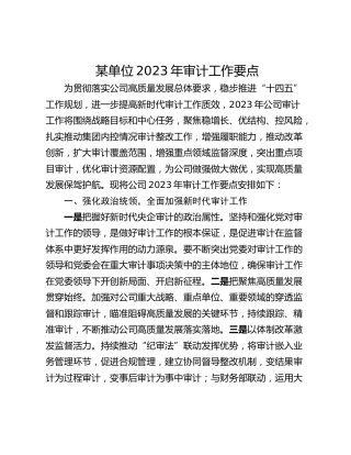 某单位2023年审计工作要点