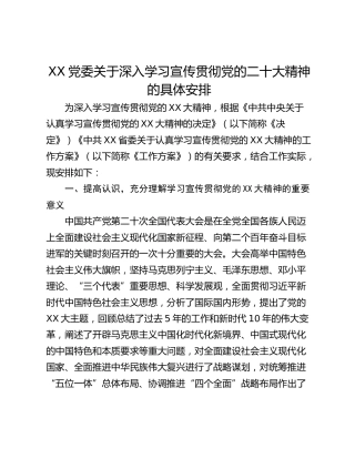 XX党委关于深入学习宣传贯彻党的二十大精神的具体安排
