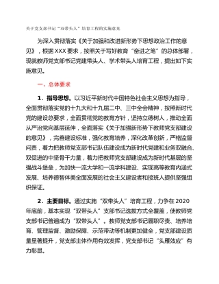 关于党支部书记“双带头人”培育工程的实施意见