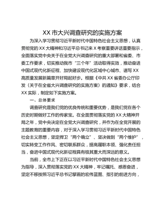 XX市大兴调查研究的实施方案
