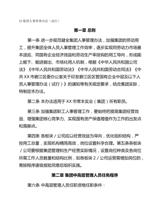 XX集团人事管理办法（试行）