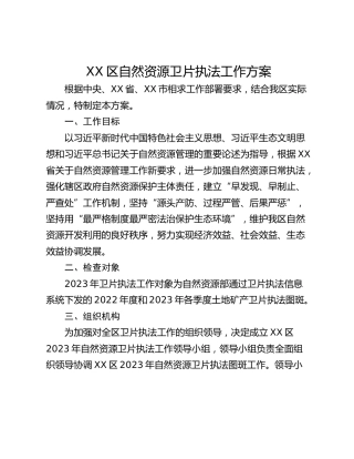 XX区自然资源卫片执法工作方案