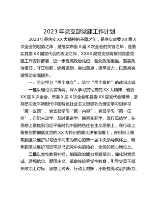 2023年党支部党建工作计划_1