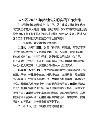 XX区2023年新时代文明实践工作安排