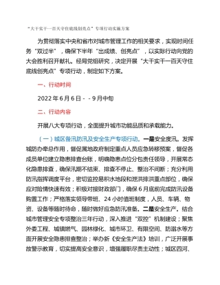 “大干实干一百天守住底线创亮点”专项行动实施方案