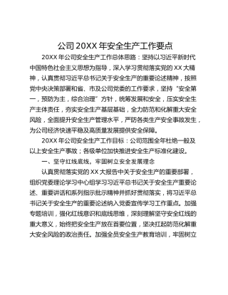 公司20XX年安全生产工作要点