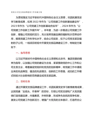 某某公司党支部品牌建设工作实施方案