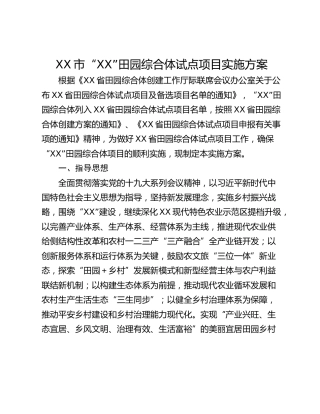 XX市“XX”田园综合体试点项目实施方案