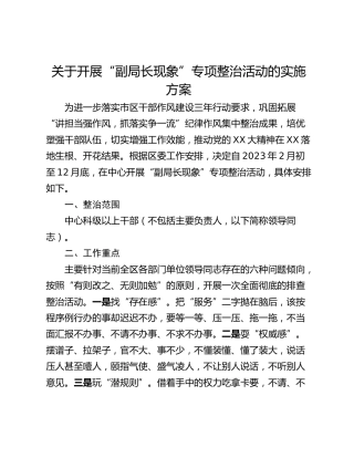 关于开展“副局长现象”专项整治活动的实施方案