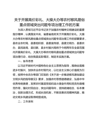 关于开展高价彩礼、大操大办等农村移风易俗重点领域突出问题专项治理工作的方案