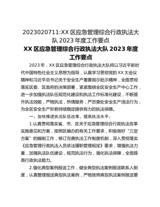 2023020711_XX区应急管理综合行政执法大队2023年度工作要点