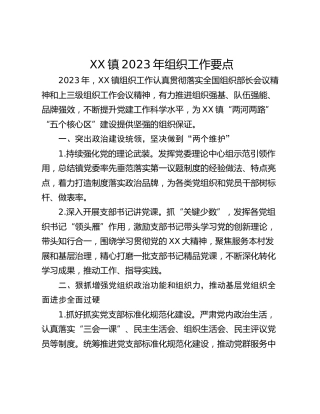 XX镇2023年组织工作要点