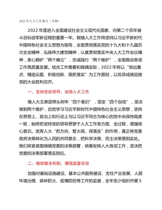 2022年人大工作要点（乡镇）