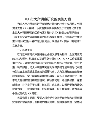 XX市大兴调查研究的实施方案_1