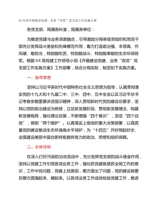 XX分局开展建设党建、业务“双优”党支部工作实施方案