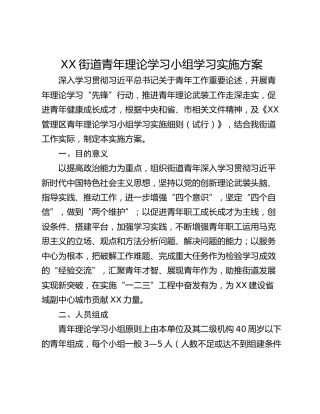 XX街道青年理论学习小组学习实施方案