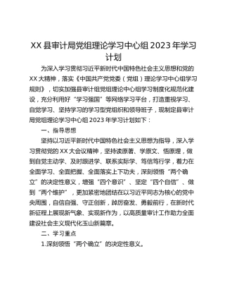 XX县审计局党组理论学习中心组2023年学习计划
