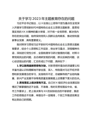 关于学习2023年主题教育存在的问题