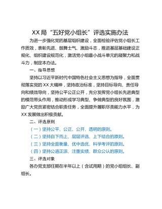 XX局“五好党小组长”评选实施办法  ​