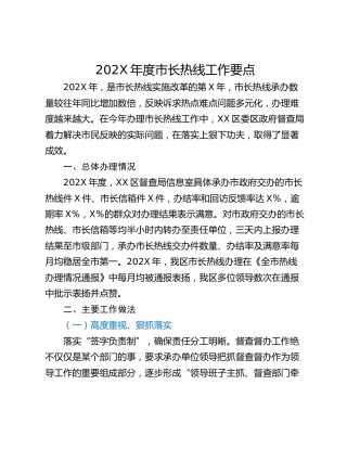 202X年度市长热线工作要点