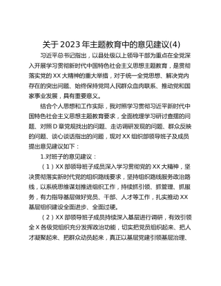 关于2023年主题教育中的意见建议(4)