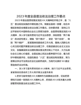 2023年度全县普法依法治理工作要点