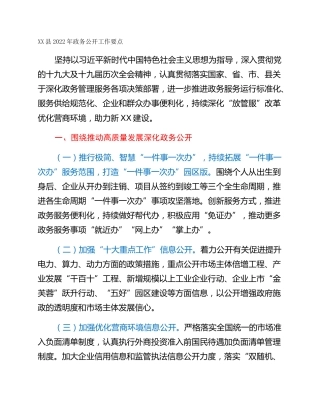 XX县2022年政务公开工作要点