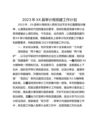 2023年XX县审计局党建工作计划