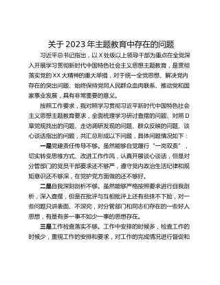 关于2023年主题教育中存在的问题