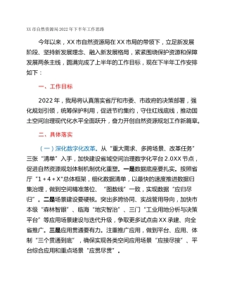 XX市自然资源局2022年下半年工作思路