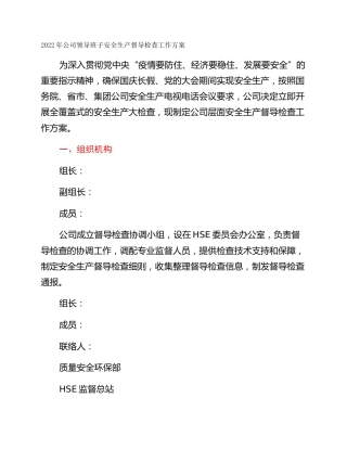2022年公司领导班子安全生产督导检查工作方案
