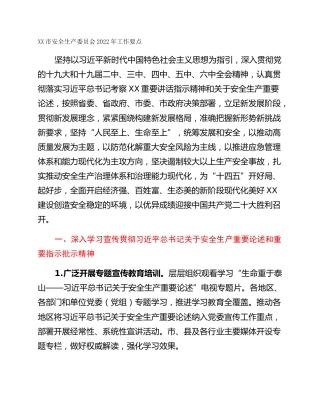 XX市安全生产委员会2022年工作要点